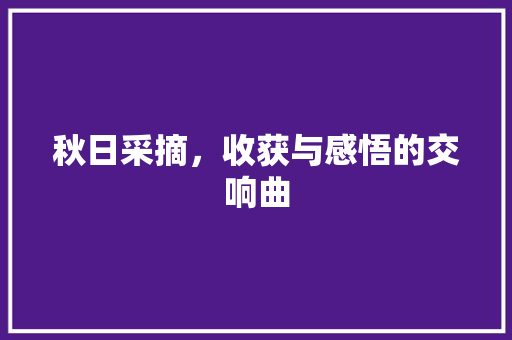 秋日采摘，收获与感悟的交响曲