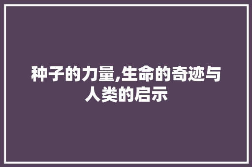 种子的力量,生命的奇迹与人类的启示