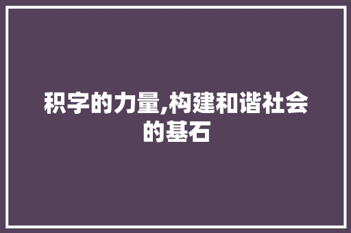 积字的力量,构建和谐社会的基石