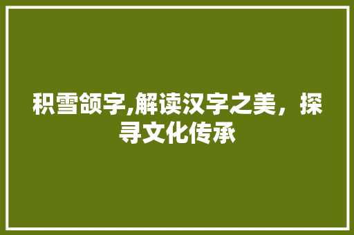 积雪颌字,解读汉字之美，探寻文化传承
