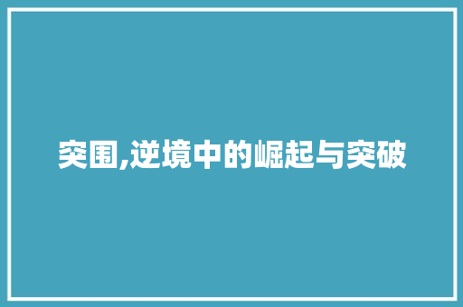 突围,逆境中的崛起与突破
