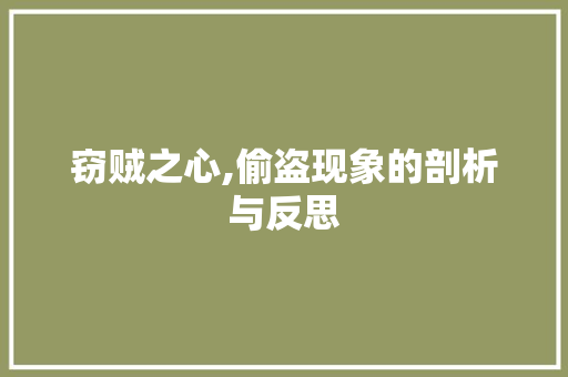 窃贼之心,偷盗现象的剖析与反思