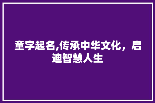童字起名,传承中华文化，启迪智慧人生