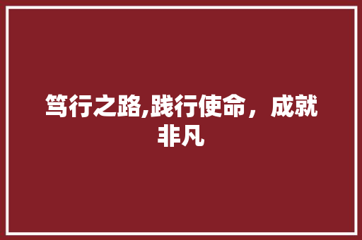 笃行之路,践行使命，成就非凡