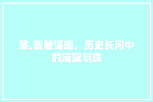 策,智慧谋略，历史长河中的璀璨明珠