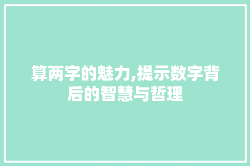算两字的魅力,提示数字背后的智慧与哲理
