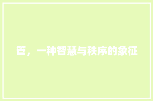 管，一种智慧与秩序的象征