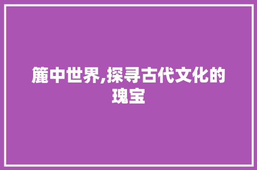 簏中世界,探寻古代文化的瑰宝