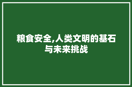 粮食安全,人类文明的基石与未来挑战 工作总结