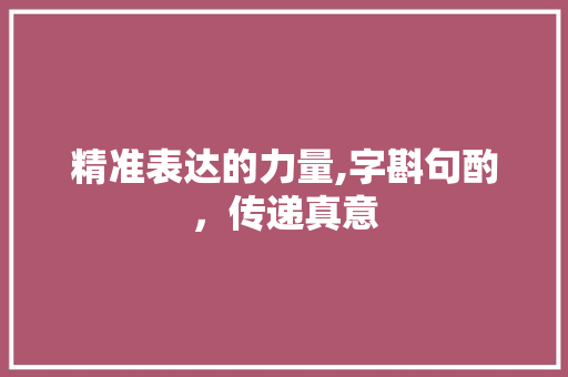 精准表达的力量,字斟句酌，传递真意