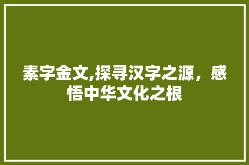 素字金文,探寻汉字之源，感悟中华文化之根 应用文