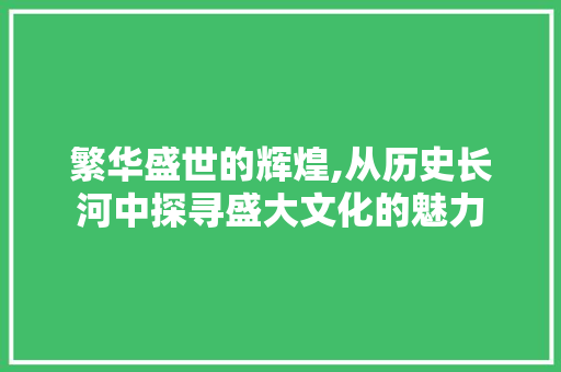 繁华盛世的辉煌,从历史长河中探寻盛大文化的魅力