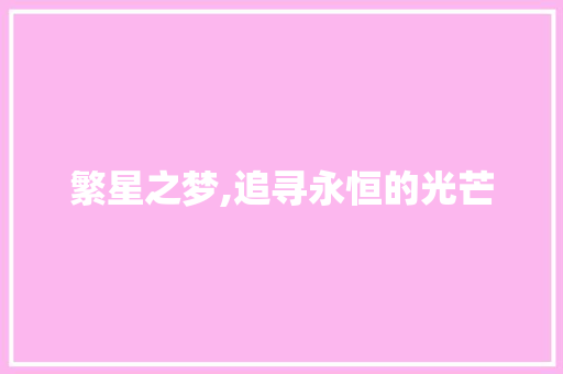 繁星之梦,追寻永恒的光芒