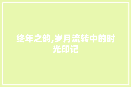终年之韵,岁月流转中的时光印记