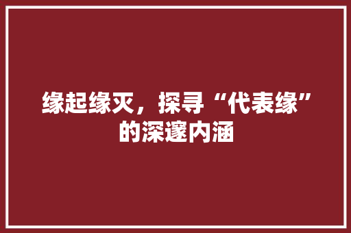 缘起缘灭，探寻“代表缘”的深邃内涵
