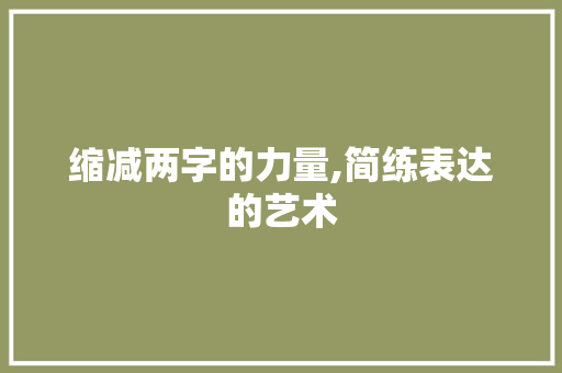 缩减两字的力量,简练表达的艺术