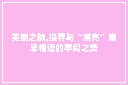 美丽之韵,探寻与“漂亮”意思相近的字词之美
