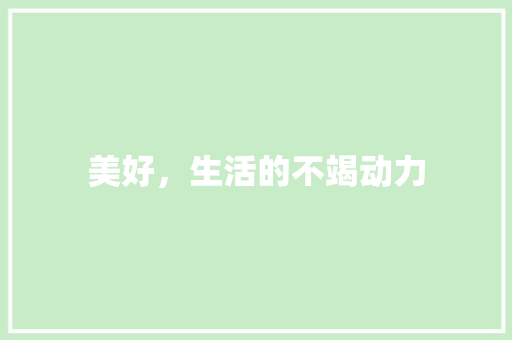 美好，生活的不竭动力 诗词应用