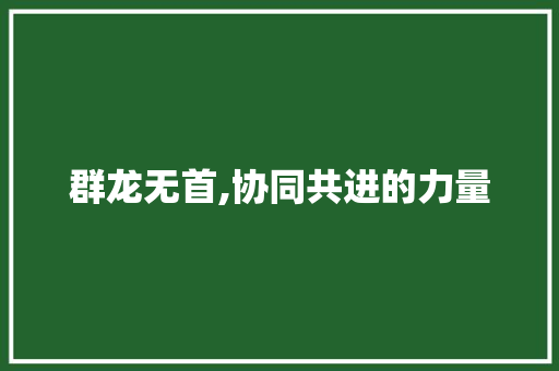 群龙无首,协同共进的力量