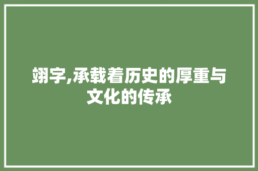 翊字,承载着历史的厚重与文化的传承