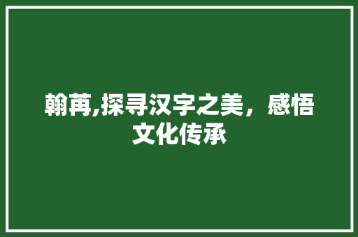翰苒,探寻汉字之美，感悟文化传承