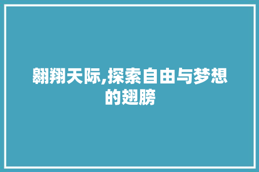 翱翔天际,探索自由与梦想的翅膀