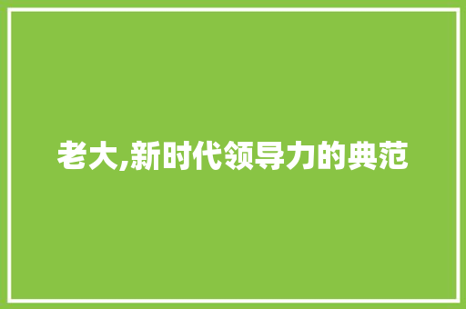 老大,新时代领导力的典范