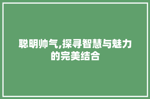 聪明帅气,探寻智慧与魅力的完美结合 应用文