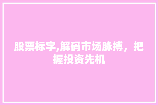股票标字,解码市场脉搏，把握投资先机