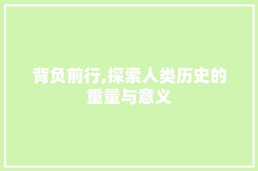 背负前行,探索人类历史的重量与意义