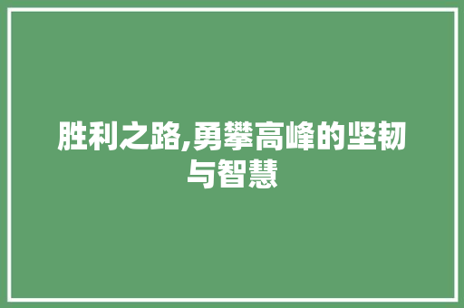 胜利之路,勇攀高峰的坚韧与智慧