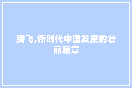 腾飞,新时代中国发展的壮丽篇章 社交媒体