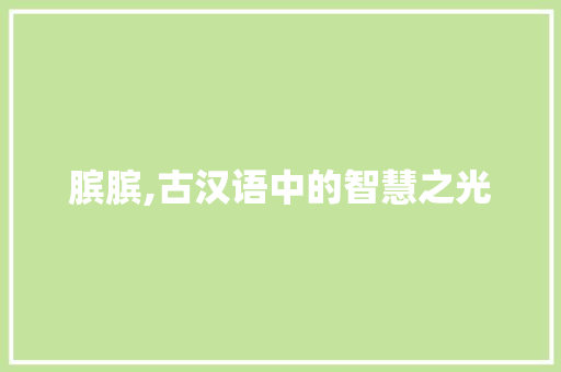 膑膑,古汉语中的智慧之光
