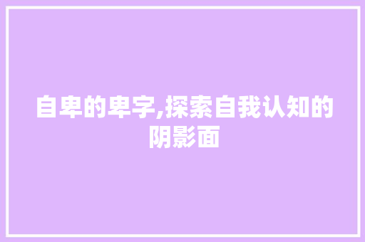 自卑的卑字,探索自我认知的阴影面