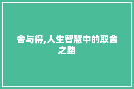 舍与得,人生智慧中的取舍之路