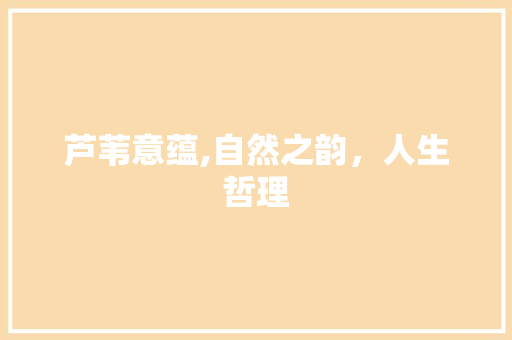 芦苇意蕴,自然之韵，人生哲理 工作总结