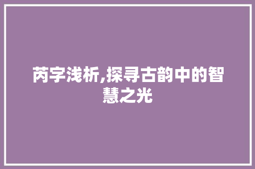 芮字浅析,探寻古韵中的智慧之光 应用文