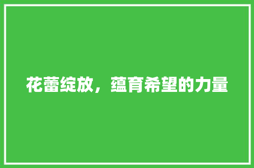 花蕾绽放，蕴育希望的力量 项目报告