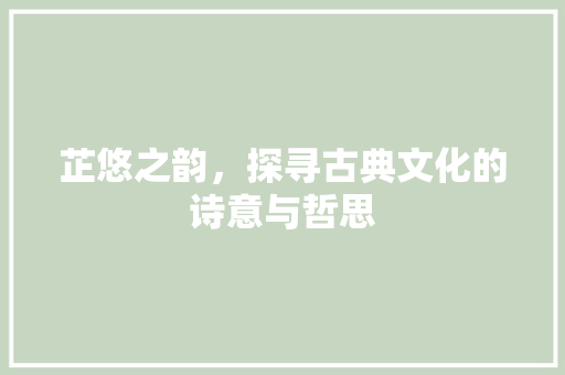芷悠之韵，探寻古典文化的诗意与哲思 项目报告