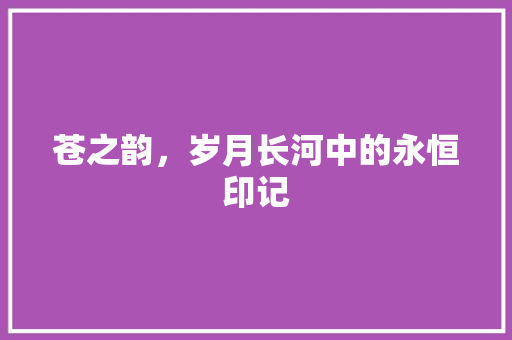苍之韵，岁月长河中的永恒印记 工作总结
