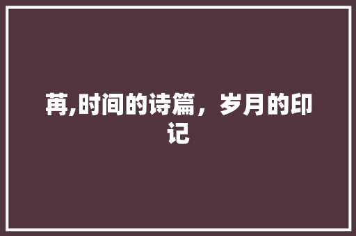 苒,时间的诗篇，岁月的印记 会议纪要