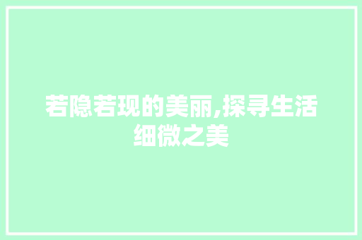 若隐若现的美丽,探寻生活细微之美