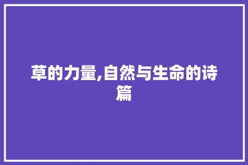 草的力量,自然与生命的诗篇