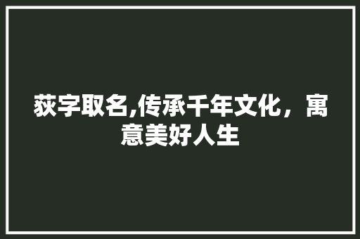 荻字取名,传承千年文化，寓意美好人生