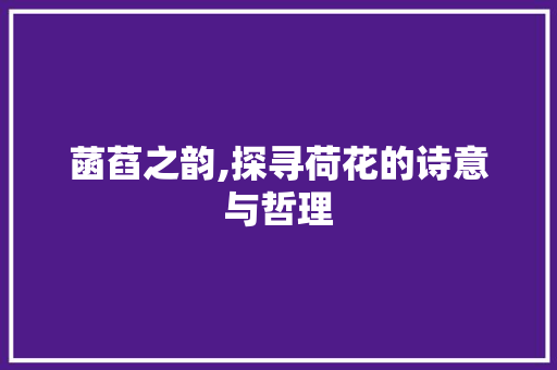 菡萏之韵,探寻荷花的诗意与哲理