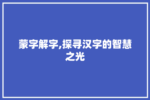 蒙字解字,探寻汉字的智慧之光