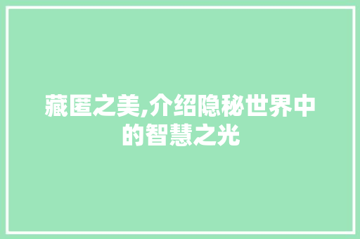 藏匿之美,介绍隐秘世界中的智慧之光 工作总结