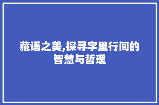 藏语之美,探寻字里行间的智慧与哲理