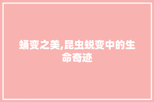 蛹变之美,昆虫蜕变中的生命奇迹 诗词鉴赏