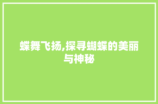 蝶舞飞扬,探寻蝴蝶的美丽与神秘